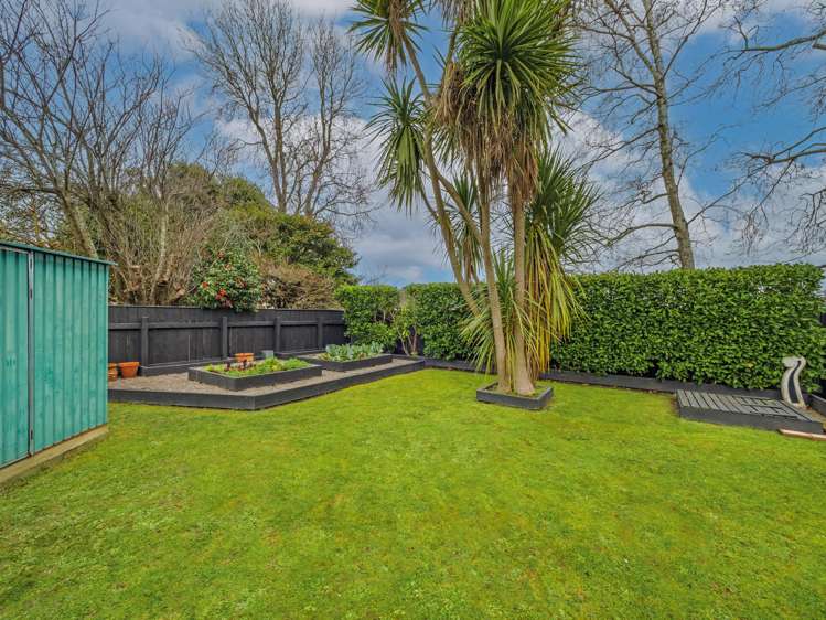 47 Alfred Street Roslyn_23