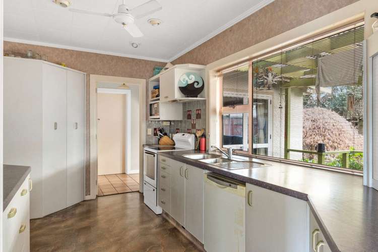 216a Harris Street Inner Kaiti_11