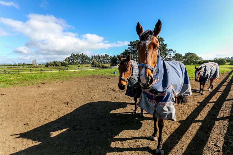 24 Waipapa Road Waitara_2