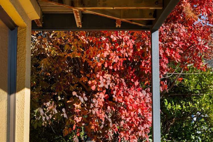 68 McDougall Street Wanaka_43
