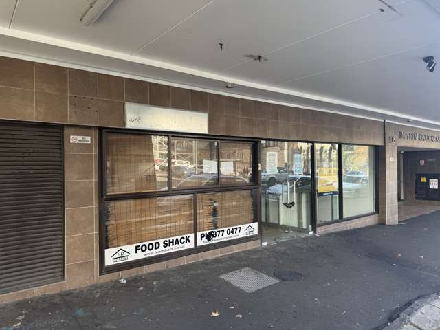 137 Hobson St Auckland Central_1