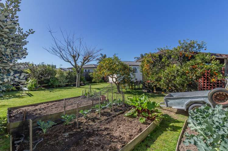 63 Guppy Road Greenmeadows_17