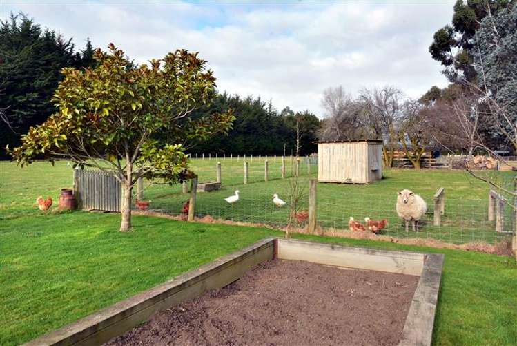 169 Dukes Road South Mosgiel_14