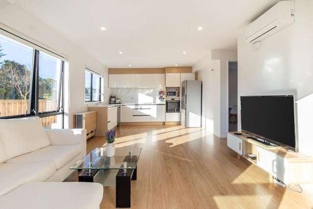 145 Astley Avenue New Lynn_3