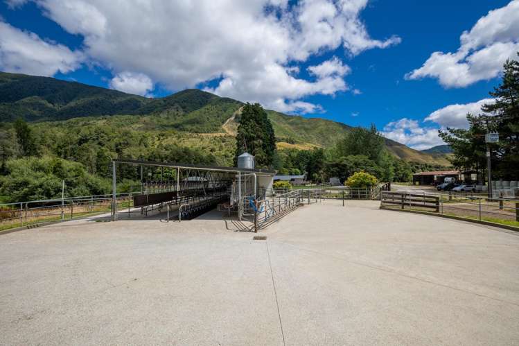 1153 Shenandoah Highway Murchison_8