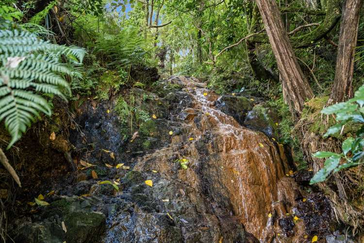 325 Brooks Road Waipu_32