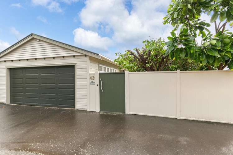 43 Darlington Road Miramar_21