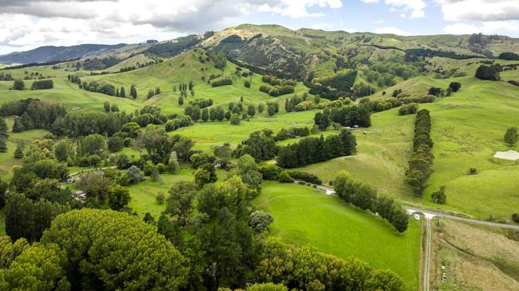 2420, 2430 and 2438 Kahuranaki Road Elsthorpe_4