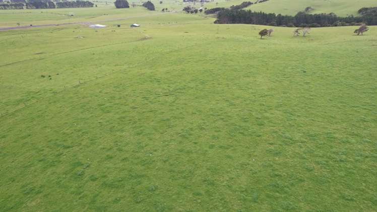 3902 State Highway 12 Dargaville Surrounds_22