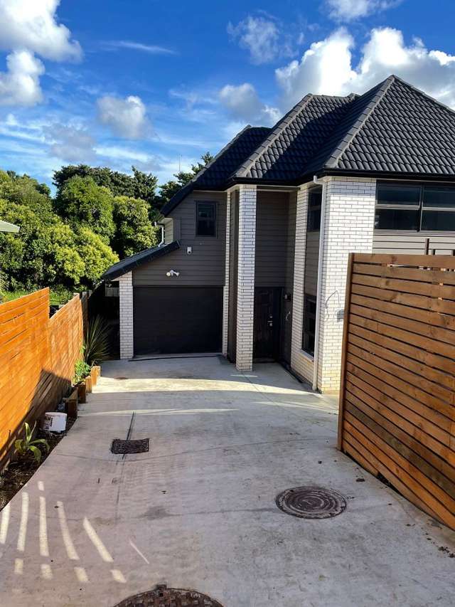 56D Alberta Street Point Chevalier_3