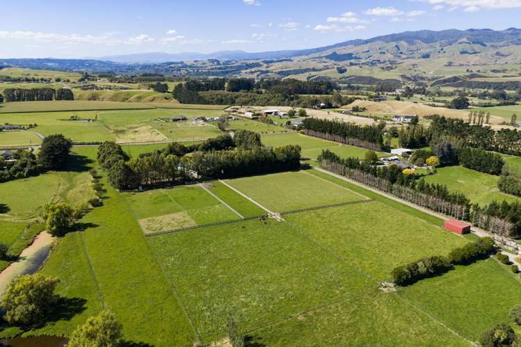 89 Ulysses Road Ashhurst_40