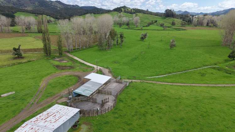 3675 Mangakahia Road Pakotai_12