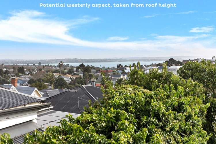7 Sussex Street Grey Lynn_10
