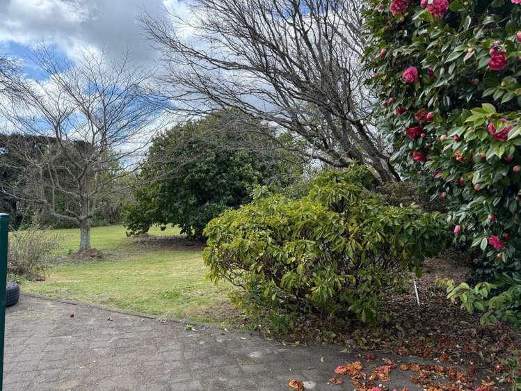 881B Te Matai Road Te Puke_22