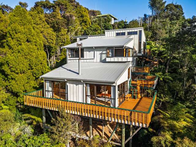 A Private Sanctuary Surrounded by Native Bush