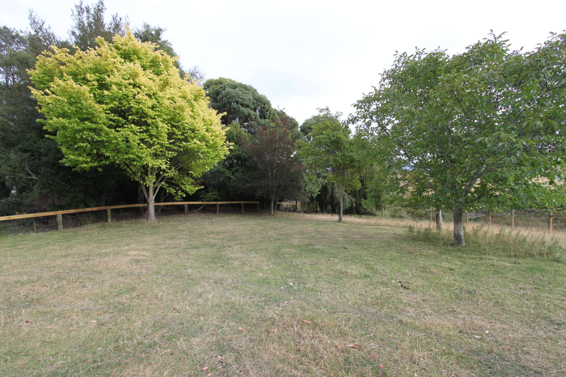 949 AllantonWaihola Highway Allanton Dunedin City Rural Property