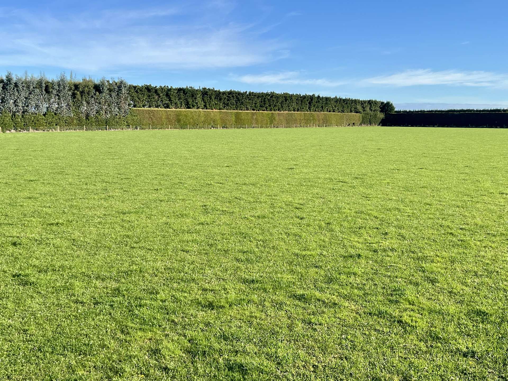 40 Billy Way West Plains_0