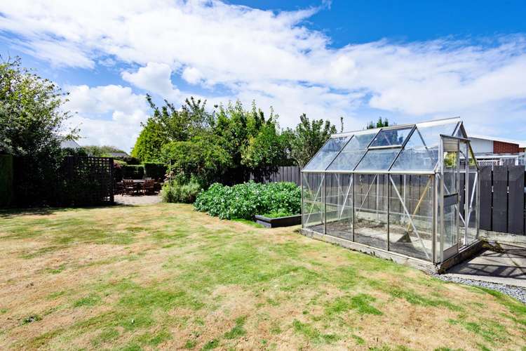 4 Craig Street Waikiwi_25