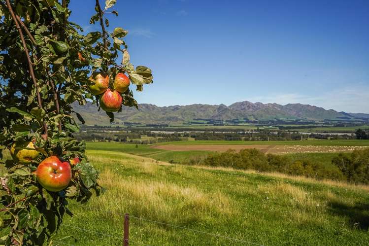 180 Leader Road West Waiau_28