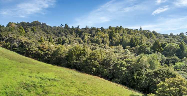 55 Russell Road Kensington_8