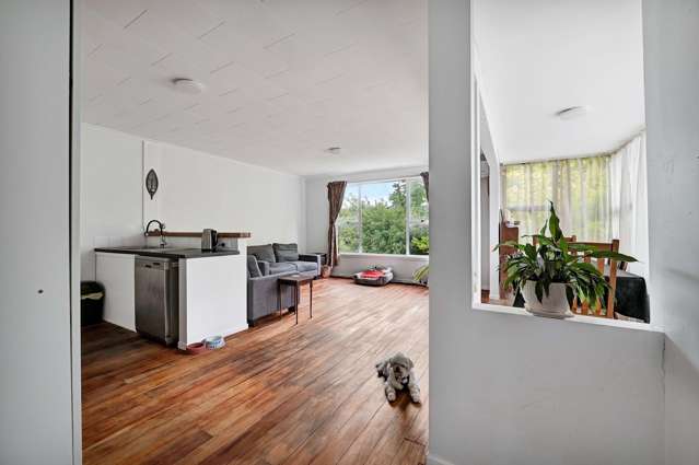 188 Huatoki Street Upper Vogeltown_3