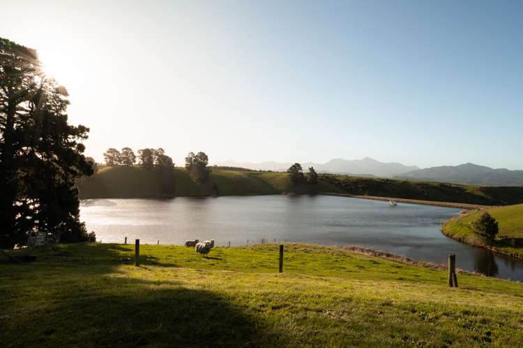 236 Delta Lake Heights Renwick_27