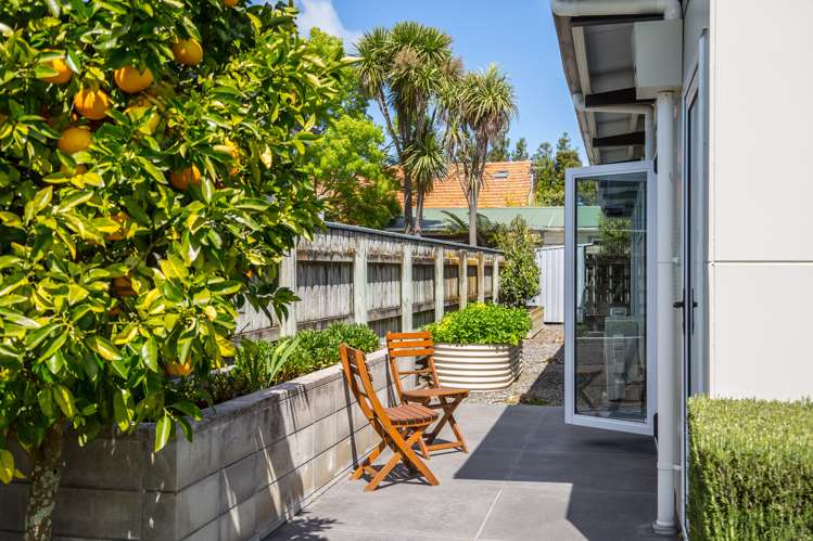 56b Mcmaster Street Greytown_16