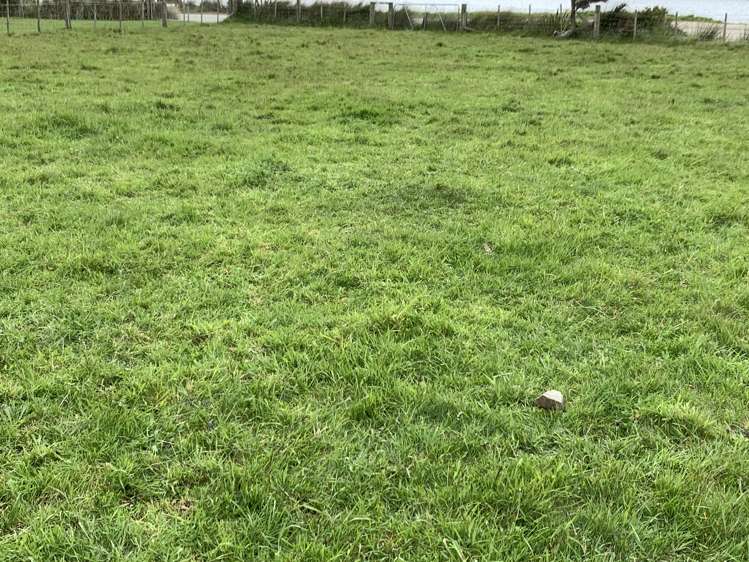 Lakeside Road Owaka_6