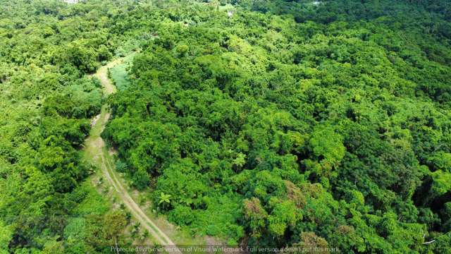 Address withheld Savusavu_2