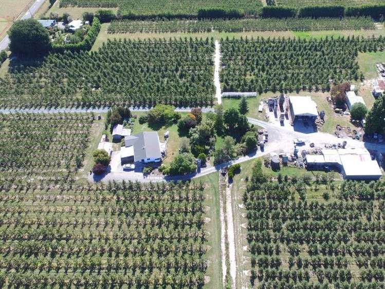 62 Edwards Road Lower Moutere_5