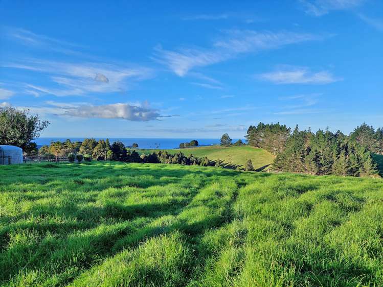 32 Hay Road Hukerenui and Surrounds_23