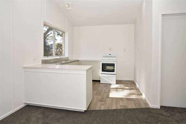 2/2 Herbert Road Queenwood_3