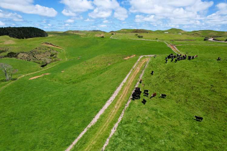 1090 Te Maire Road Dargaville_4