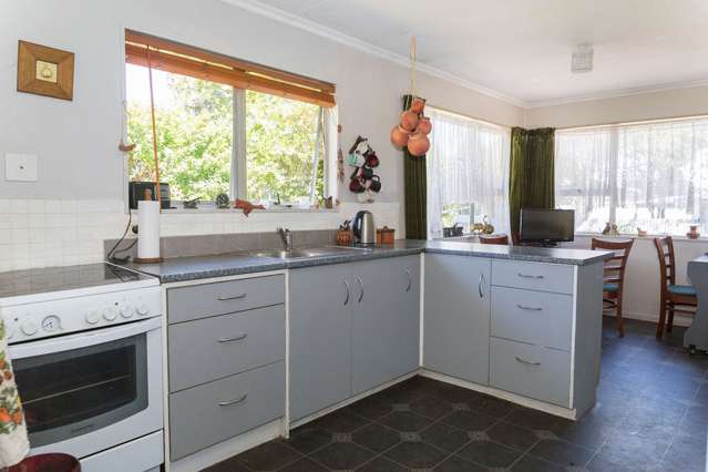 12 Mathew Street Dannevirke_2