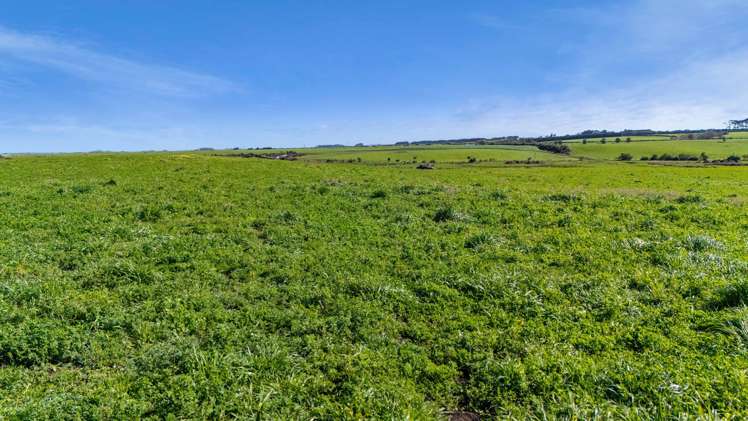 60 Powerhouse Road Patea_6
