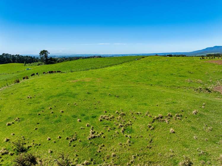 383 Busby Road Katikati_9
