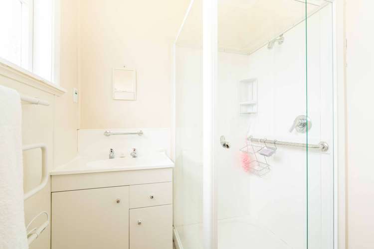 6 Ballantyne Street Waverley_12