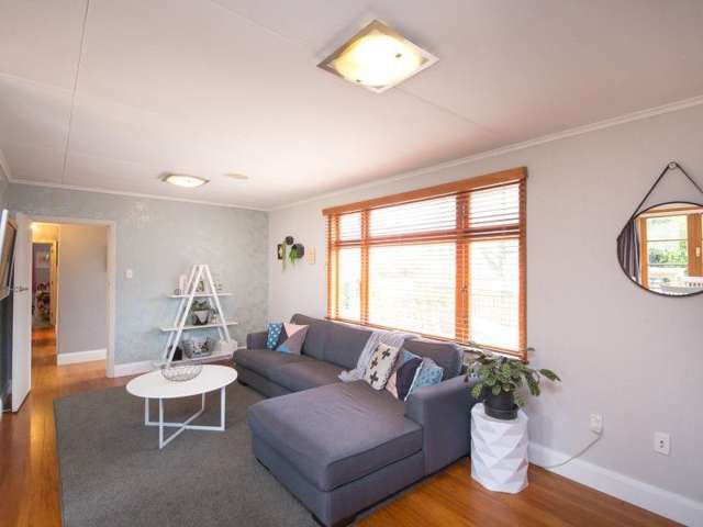 41 Mulgrave Street Ashhurst_2