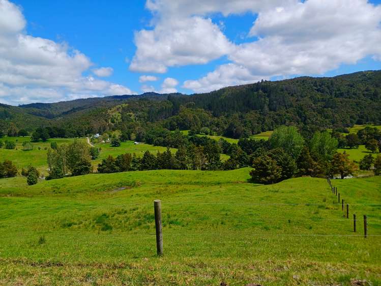 Lot 2 Otangaroa Road Kaeo_19