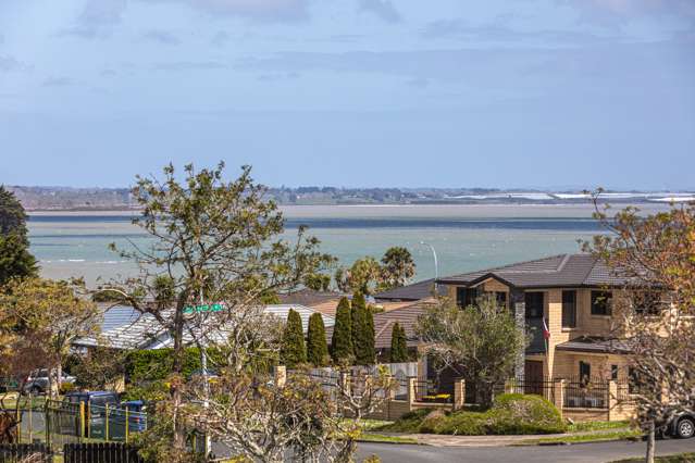 1e Bellville Drive Clendon Park_1