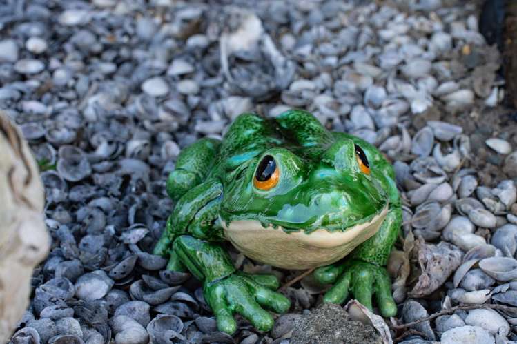 14 Bayview Road Kellys Bay_43