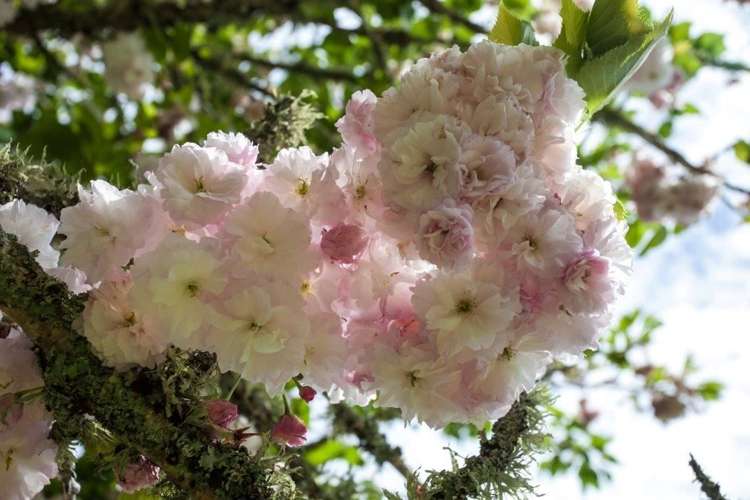 491a Bruntwood Road Tamahere_26