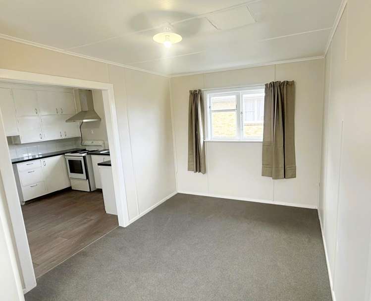  44 Haydon Street Roslyn_3