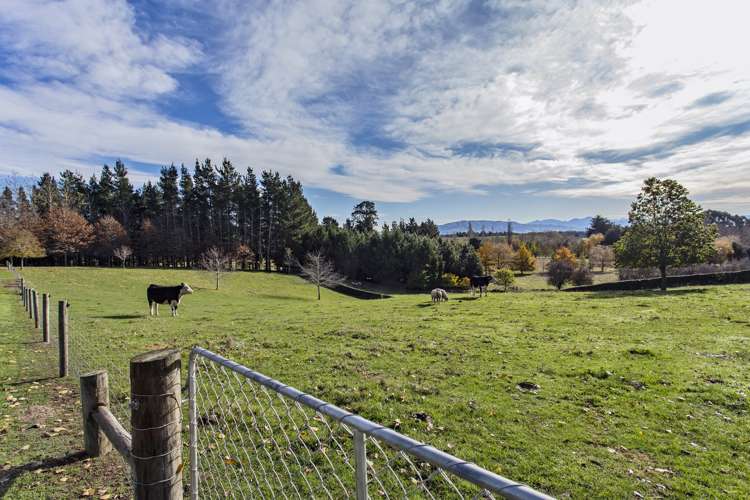 149 Parnassus Road Cheviot_25