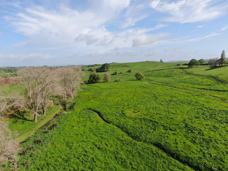 48 Barber Road Otewa_2