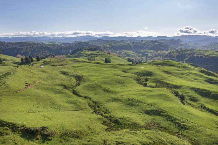 574 Mangaotaki Road Piopio_15