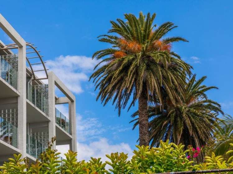 14/3 Hamilton Road Herne Bay_5