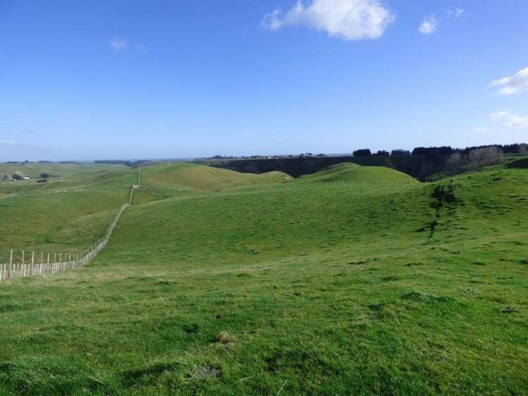 210 Valley Road Bunnythorpe_14