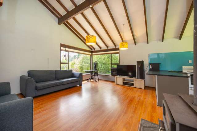 403 Scotts Road Linton_4