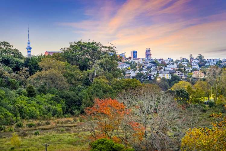 70A Spencer Street Remuera_10